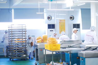 工厂企业精益班组建设的四大执行要点